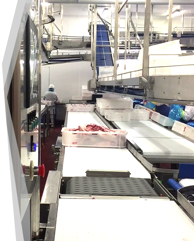 Carousel Packing & Handling - Red Meat Industry