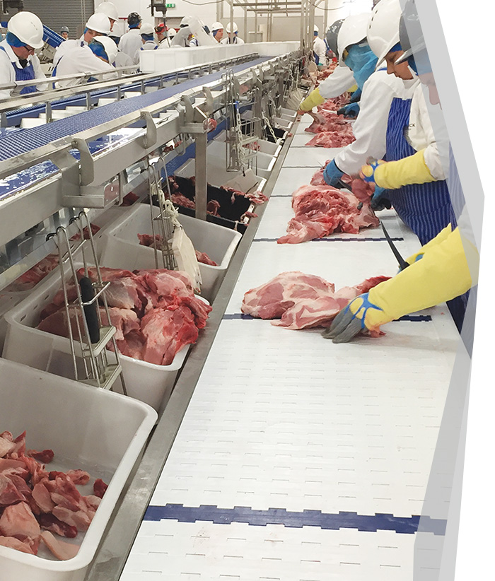 Red meat processing solutions - pork pace line