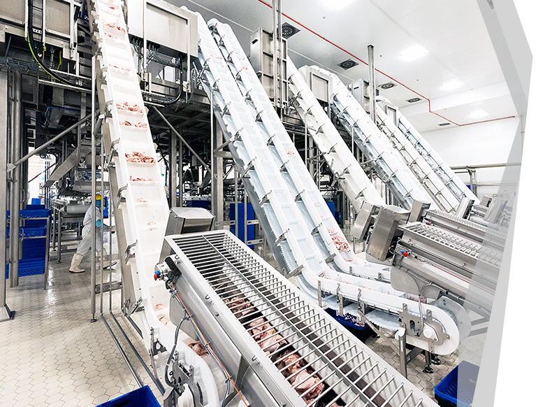 SF Scalable Solutions for Food Processors 
