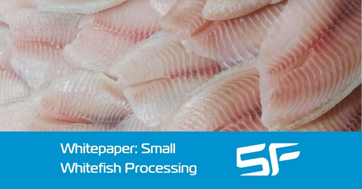 How to Profitably Process Small Whitefish in the UK and Ireland ...