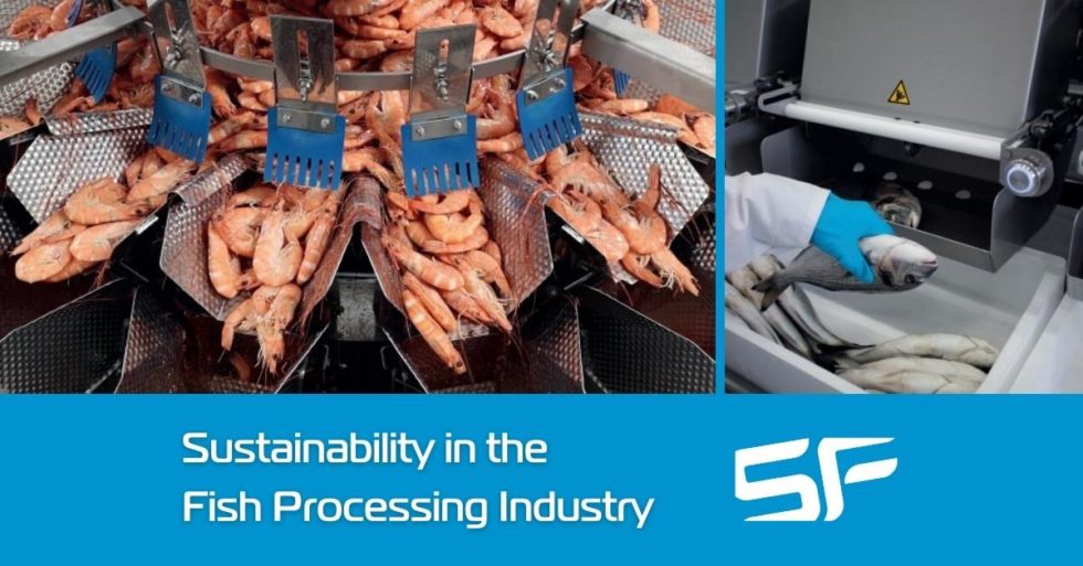 7 Priorities for Making the Fish Processing Industry More Sustainable